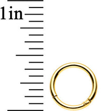 将图片加载到图库查看器，16G 5/16 Gold Anodized Titanium Hinged Segment Ring
