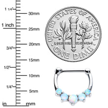 Load image into Gallery viewer, 16G 1/4 White Synthetic Opal Steel Bar Simple Septum Clicker
