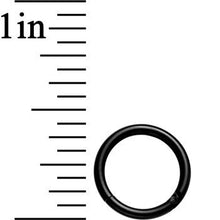 Load image into Gallery viewer, 16G 5/16 Black Anodized Hinged Segment Ring
