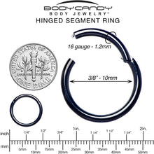 将图片加载到图库查看器，16G 3/8 Black PVD Hinged Segment Ring

