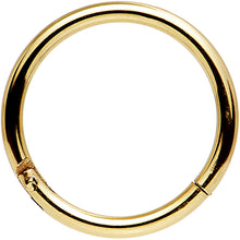 Load image into Gallery viewer, 16G 3/8 Gold Tone Anodized Hinged Segment Ring
