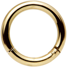 将图片加载到图库查看器，14G 5/16 Gold Tone Anodized Hinged Segment Ring
