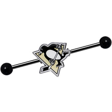 Load image into Gallery viewer, Licensed NHL Black Pittsburgh Penguins Industrial Barbell 38mm
