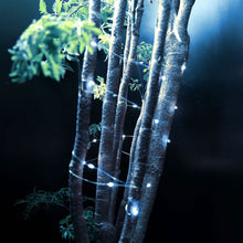 将图片加载到图库查看器，6-Pack: LED String Lights
