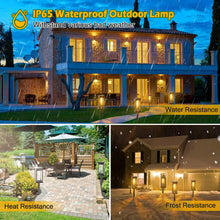 将图片加载到图库查看器，6-Pack: Solar Powered Stake Light IP65 Waterproof Auto On Off
