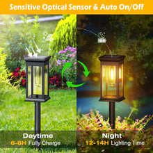 将图片加载到图库查看器，6-Pack: Solar Powered Stake Light IP65 Waterproof Auto On Off
