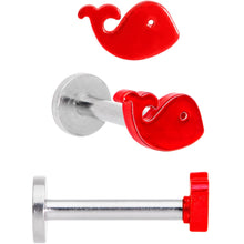 Load image into Gallery viewer, 16G 5/16 Multicolor Internally Threaded Whale Labret Set of 4
