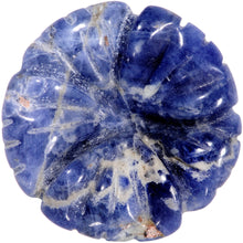 Load image into Gallery viewer, Natural Blue Sodalite Tropical Flower Single Flare Plug Set Sizes 6mm to 25mm
