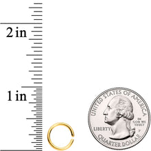 将图片加载到图库查看器，16G 5/16 Gold Tone Titanium IP Circular Ring
