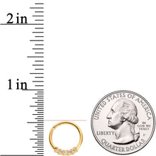 Load image into Gallery viewer, 16G 3/8 Clear CZ Gem Gold Tone Quartet Hinged Segment Ring
