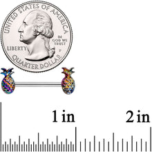 将图片加载到图库查看器，14G 9/16 Iridescent Rainbow Pineapple Barbell Nipple Ring Set

