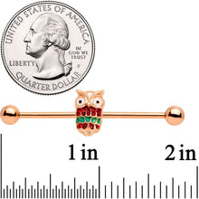 Load image into Gallery viewer, 14G Rose Gold Tone Happy Holiday Hoot Owl Industrial Barbell 38mm
