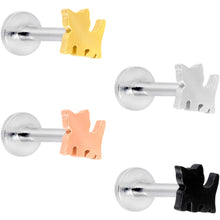 Load image into Gallery viewer, 16G 5/16 Multicolor Internally Threaded Kitty Cat Labret Set of 4
