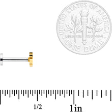Load image into Gallery viewer, 16G 5/16 Multicolor Internally Threaded Kitty Cat Labret Set of 4
