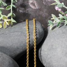 Load image into Gallery viewer, 3.0mm 14k Yellow Gold Forsantina Lite Cable Link Chain
