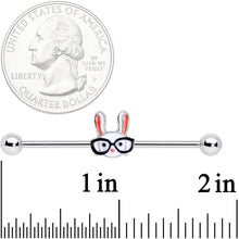 将图片加载到图库查看器，14G Nerdy Easter Bunny Industrial Barbell 38mm

