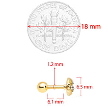 Load image into Gallery viewer, 16G 1/4 Clear Gem Gold Tone Birds Nest Cartilage Tragus Earring
