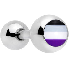 Load image into Gallery viewer, 16G 1/4 Black Grey Purple Asexual Pride Flag Cartilage Tragus
