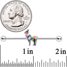 Load image into Gallery viewer, 14G Colorful Drama Llama Industrial Barbell 38mm

