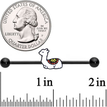 Load image into Gallery viewer, 14G Sleepy Llama Industrial Barbell 38mm
