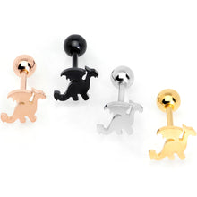 Load image into Gallery viewer, Multicolor Fantasy Dragon Barbell Tongue Ring Set of 4
