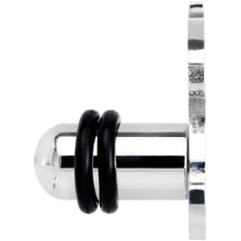 Load image into Gallery viewer, Steel Fantasy Dragon Single Flare Plug Set 14G to 2G
