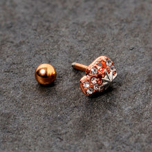 Load image into Gallery viewer, 16G 1/4 Clear Gem Rose Gold Tone Star Skull Cartilage Tragus
