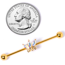 Load image into Gallery viewer, 14G Aurora Gem Gold Tone Crown Love Industrial Barbell 38mm
