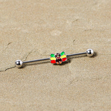 Load image into Gallery viewer, 14G Rasta Turkey Thanksgiving Industrial Barbell 38mm

