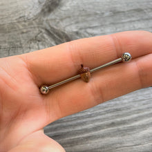 Load image into Gallery viewer, 14G Brown Fall Autumn Acorn Industrial Barbell 38mm
