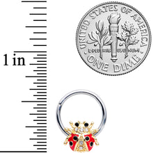 将图片加载到图库查看器，16G 3/8 Clear Gem Red Black Ladybug Hinged Segment Ring
