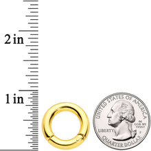 将图片加载到图库查看器，6G 1/2 Gold Tone PVD Steel Hinged Segment Ring
