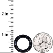 将图片加载到图库查看器，6G 9/16 Black PVD Steel Hinged Segment Ring
