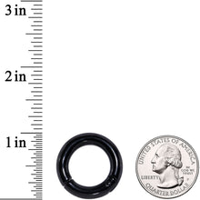 将图片加载到图库查看器，4G 5/8 Black PVD Steel Hinged Segment Ring
