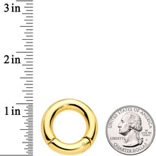 Load image into Gallery viewer, 2G 5/8 Gold Tone PVD Steel Hinged Segment Ring
