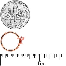 Load image into Gallery viewer, 16G 3/8 Clear Gem Rose Gold Tone Cocktail New Year Septum Clicker

