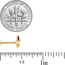 将图片加载到图库查看器，16G 5/16 Gold Tone Squirrel Labret Monroe Tragus
