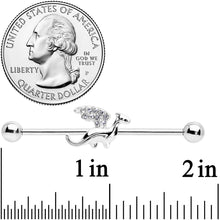Load image into Gallery viewer, 14G Clear Gem Dragon Industrial Barbell 38mm
