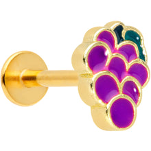 将图片加载到图库查看器，16G 5/16 Gold Tone Sweet Purple Grapes Labret Monroe Tragus
