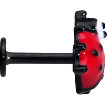 Load image into Gallery viewer, 16G 1/4 Black Insect Ladybug Labret Monroe Tragus
