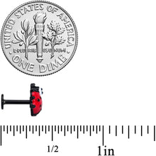 Load image into Gallery viewer, 16G 1/4 Black Insect Ladybug Labret Monroe Tragus
