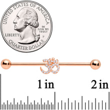 Load image into Gallery viewer, 14G Clear CZ Gem Rose Gold Hue Amazing Om Industrial Barbell 38mm
