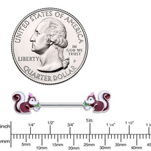 Load image into Gallery viewer, 14G 5/8 Snacking Squirrel Barbell Nipple Ring Set
