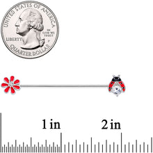 Load image into Gallery viewer, 14G Clear Gem Red Ladybug Flower Industrial Barbell 38mm
