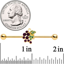 Load image into Gallery viewer, 14G Gold Tone Yummy Grapes Industrial Barbell 38mm

