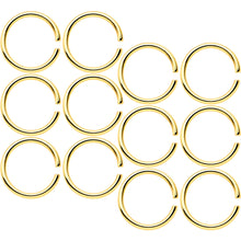Load image into Gallery viewer, 18G 5/16 Gold Tone Anodized Seamless Circular Ring Set of 12
