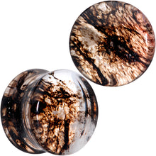 将图片加载到图库查看器，Clear Brown Glass Boho Saddle Plug Set
