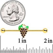 Load image into Gallery viewer, 14G Gold Tone Delicious Grapes Fruit Industrial Barbell 38mm

