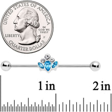 Load image into Gallery viewer, 14G Aqua Clear Gem Classic Cluster Industrial Barbell 38mm

