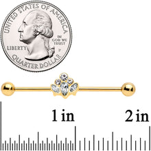 Load image into Gallery viewer, 14G Clear Gem Gold Tone Anodized Cluster Industrial Barbell 38mm
